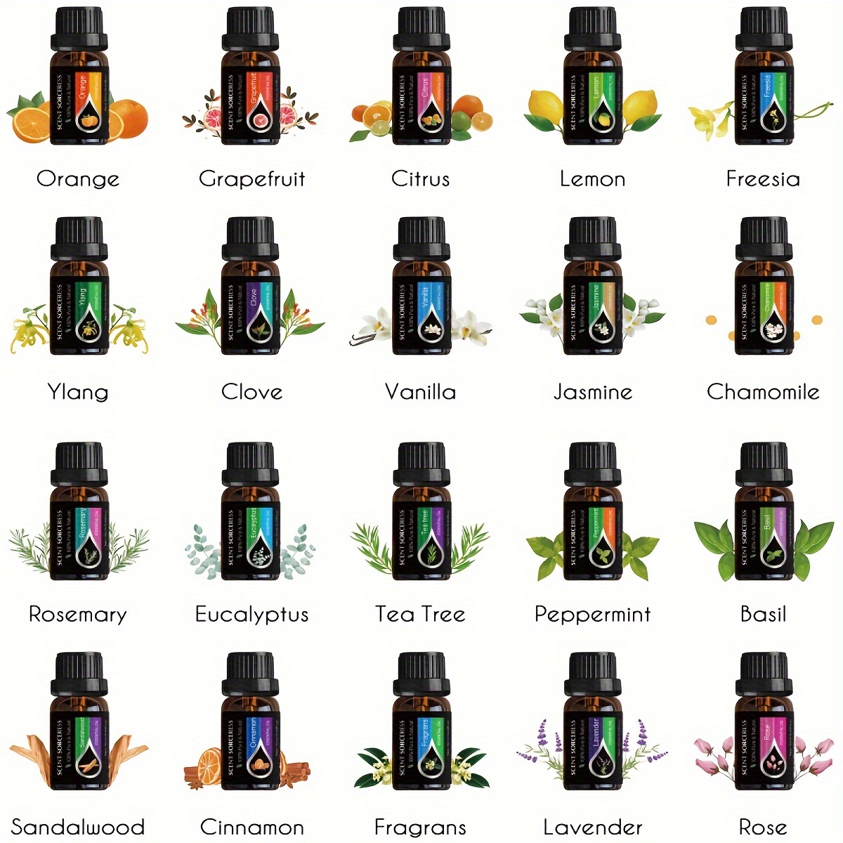 20pcs/set Essential Oil Set La - đánh giá và giá Essential Oil Blend